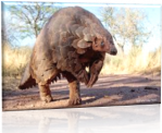 Pangolin3